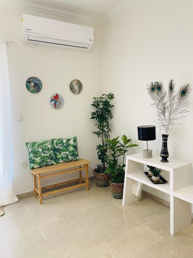 Calm & The Ii Apartment *