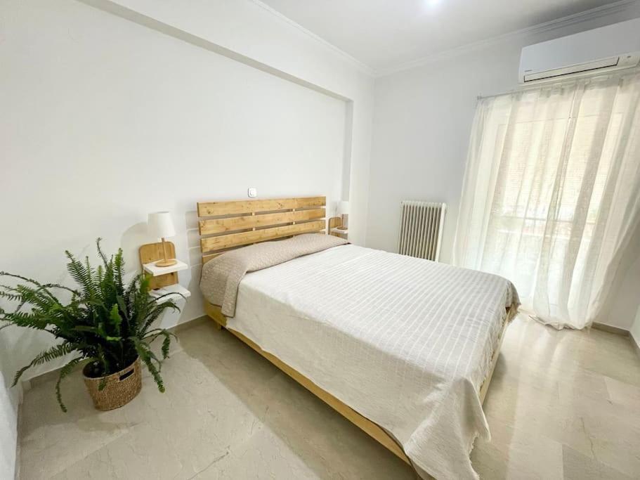 Calm & The Ii Apartment *